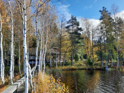 Honkasaunan vuokraus sesonkiaika - 5